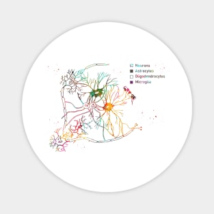 Cortical pyramidal cells Magnet